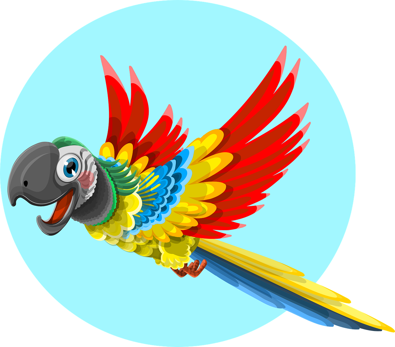 parrot, animal, bird-1417286.jpg