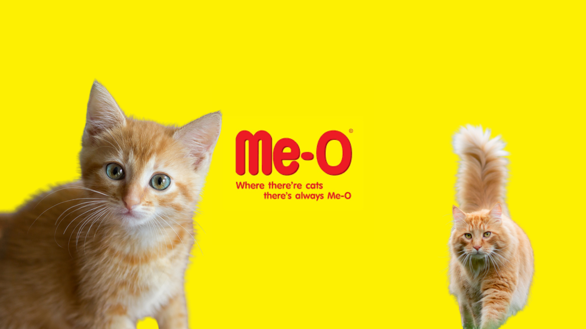 meo