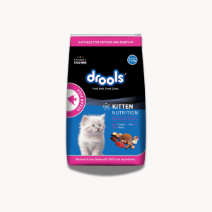 Drools Dry Cat Ocean Fish | 1.2kg | Kitten Food