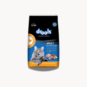 Drools Adult Cat Dry Food | 1.2kg | Real Chicken Flavour