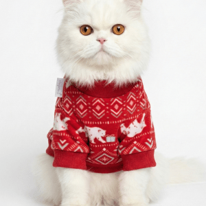Smarty Pet Kitten Outfit | Pet Apparel | Red Colour