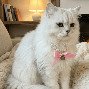Cat Pearl Collar | Pet Collar | Baby Pink Bow