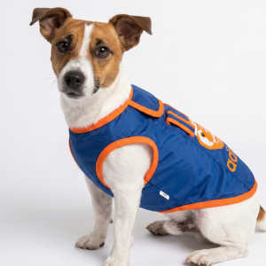 Jacket For Cats & Puppies | Size 14