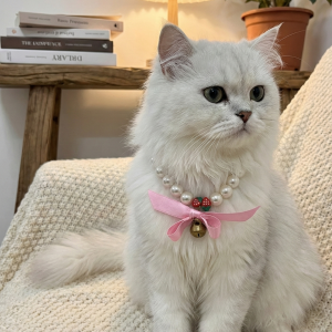 Cat Pearl Collar | Pet Collar | Pink Bow Design With Bell & Strawberry Beads