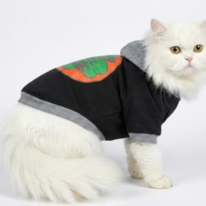 Hoodie for Cats