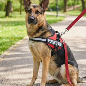 Police K9 Dog Harness with Leash | Dog Vest with Handle, Reflective Adjustable No-Pull Harness for Dogs Heavy Duty Nylon, for Training, Patrol, Hiking | Red, Medium