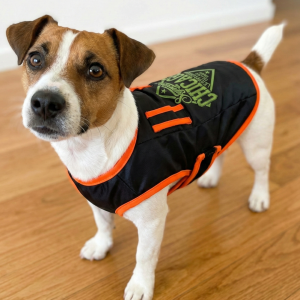 Smarty Pets | Pet Apparels | Jacket For Cats | Size 12