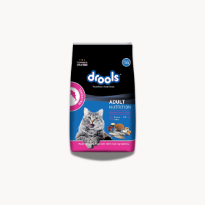 Drools Adult Dry Cat Food | 1.2kg | Mackerel Flavour