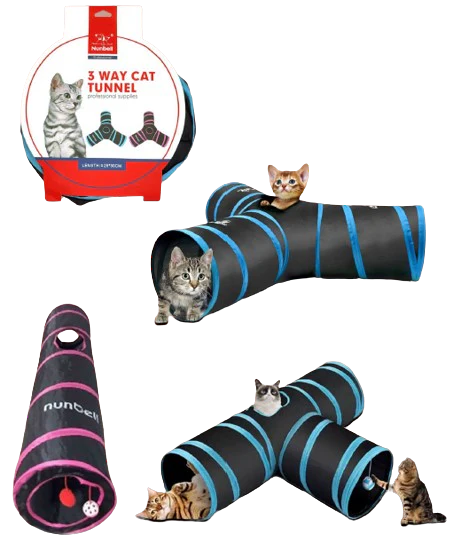 image-removebg-preview_52