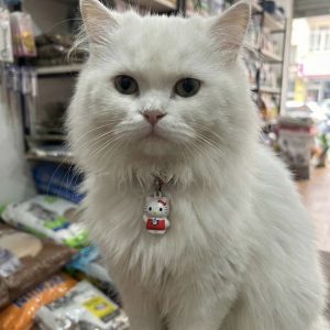 Cat Bell For Collars | Hello Kitty Design | Only Bell included