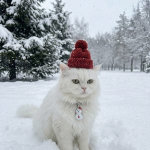 Cat Bell For Collars | Snowman Design | Only Bell included